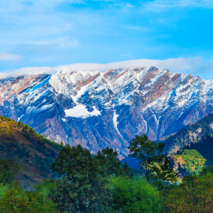 Arunachal Pradesh